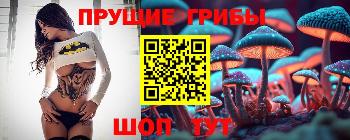 Псилоцибиновые грибы Psilocybine cubensis  Псилоцибиновые грибы MAGIC MUSHROOMS  Асбест  Вход с VPN 
